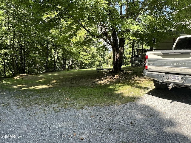 815 Hartsell Rd, Newport, TN 37821 - view of yard