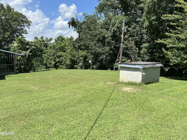 815 Hartsell Rd, Newport, TN 37821 - view of green lawn