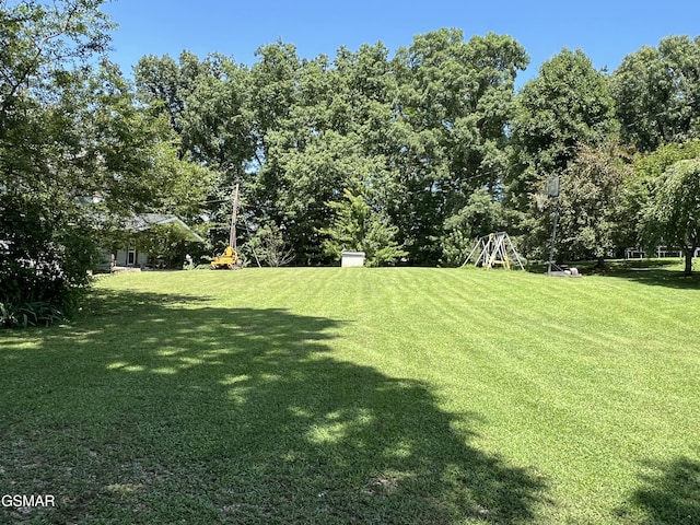 815 Hartsell Rd, Newport, TN 37821 - view of green lawn
