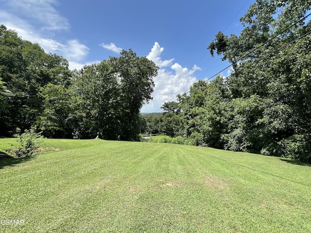 815 Hartsell Rd, Newport, TN 37821 - view of green lawn