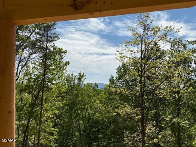 view of nature with a view of trees