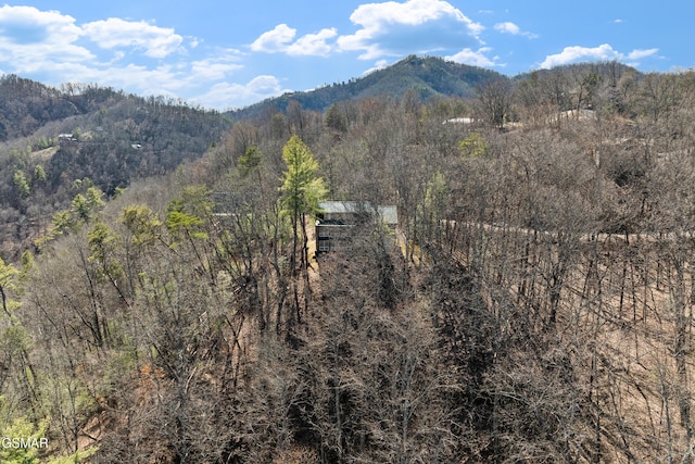 property view of mountains featuring a view of trees