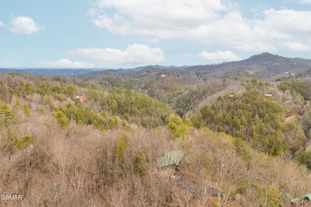 mountain view featuring a wooded view