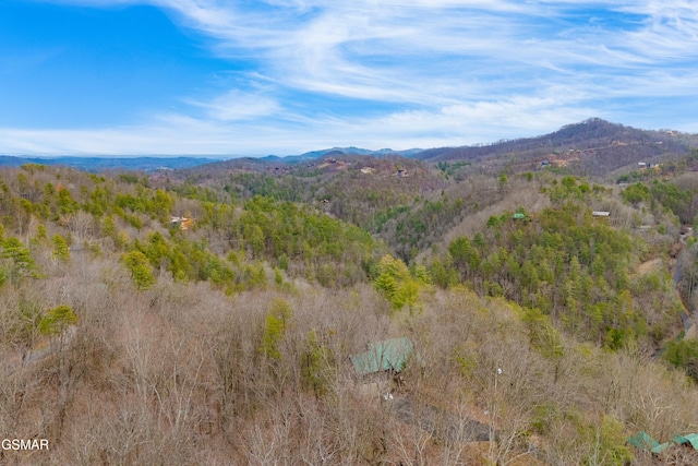 view of mountain feature featuring a forest view