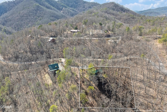 drone / aerial view featuring a mountain view