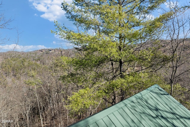 details with a forest view and a mountain view