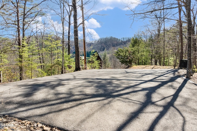 view of road featuring a forest view