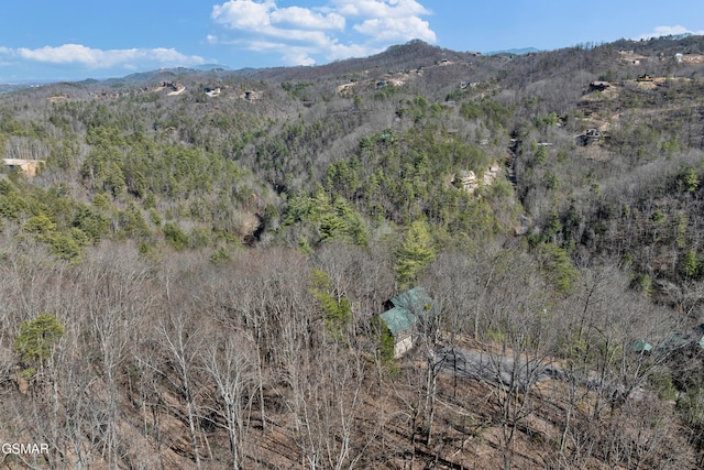 view of mountain feature featuring a wooded view