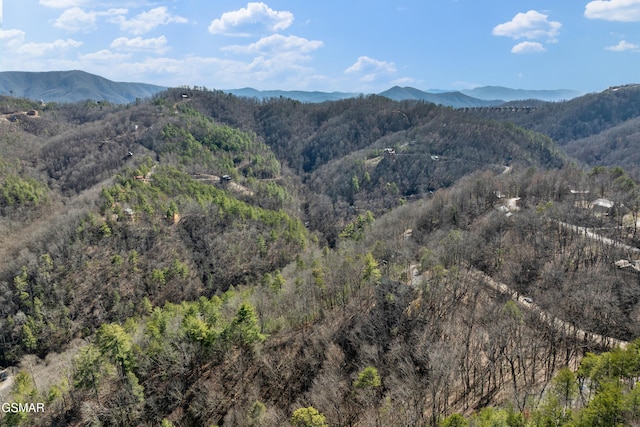 property view of mountains with a forest view