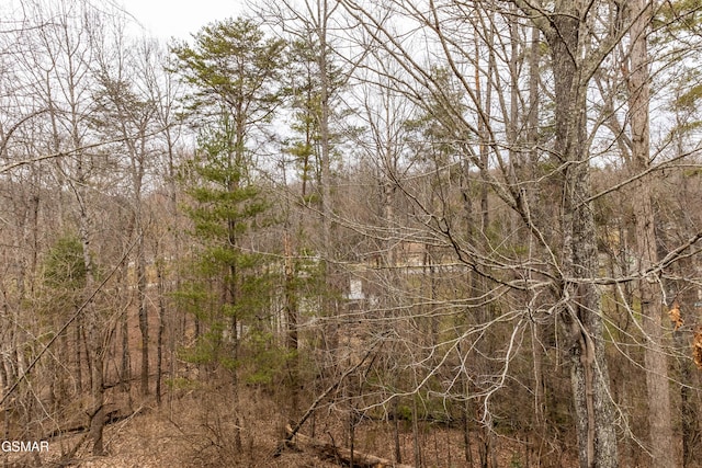 view of local wilderness with a wooded view