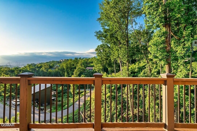 850 Chestnut Dr, Gatlinburg, TN 37738 - photo 6