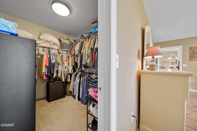 854 River Cliff Dr, Kodak, TN 37764 - walk in closet featuring light colored carpet