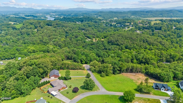 854 River Cliff Dr, Kodak, TN 37764 - drone / aerial view of a forest and a mountainous background
