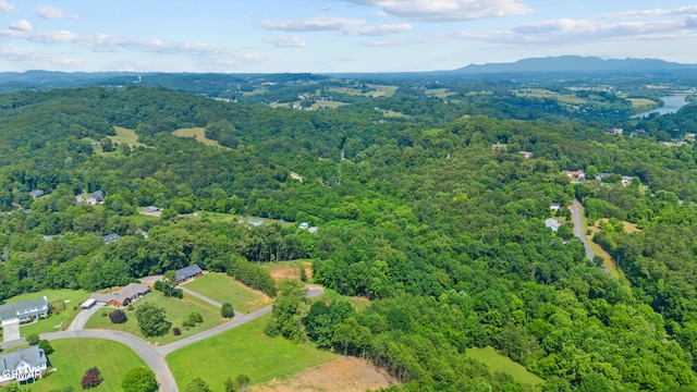 854 River Cliff Dr, Kodak, TN 37764 - bird's eye view of a forest and a mountainous background