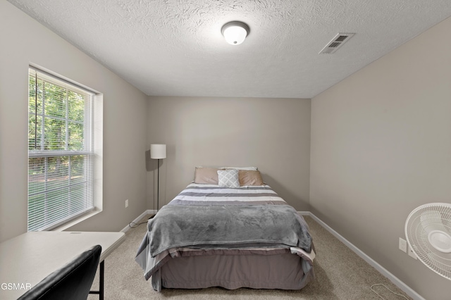 723 Catherine Crisp Dr, Kodak, TN 37764 - photo 16