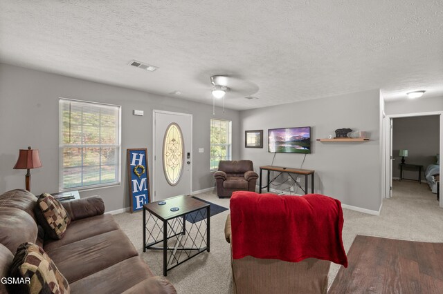 723 Catherine Crisp Dr, Kodak, TN 37764 - photo 5