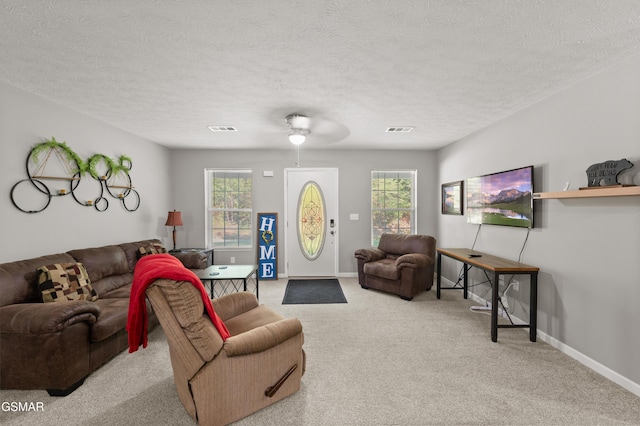723 Catherine Crisp Dr, Kodak, TN 37764 - photo 4