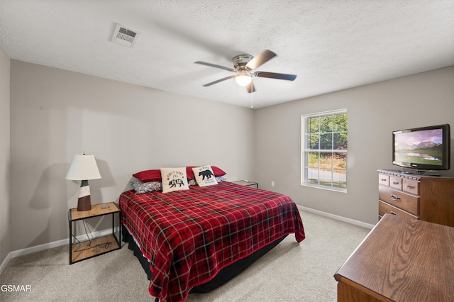 723 Catherine Crisp Dr, Kodak, TN 37764 - photo 10