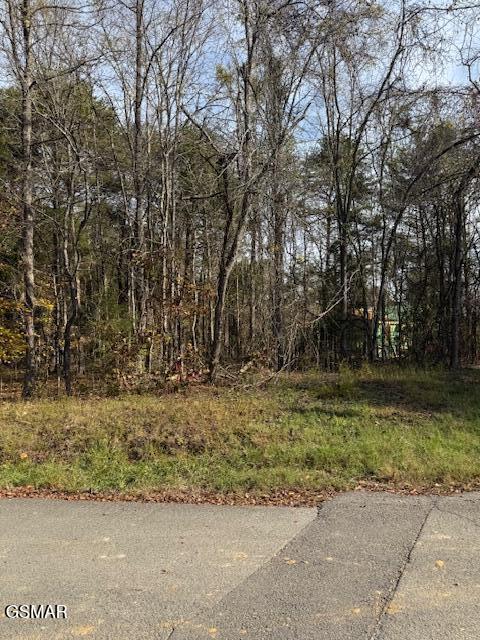 LOT1023 Cove Ln, Baneberry, TN 37890 - photo 3