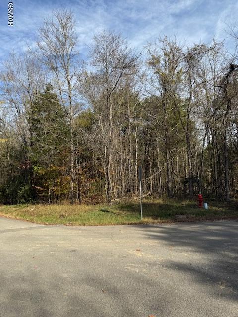 LOT1023 Cove Ln, Baneberry, TN 37890 - photo 1