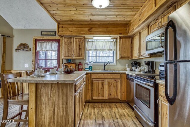 1785 Blue Ridge Rd, Sevierville, TN 37876 - kitchen featuring appliances with stainless steel finishes, a peninsula, a sink, a breakfast bar area, and light wood-type flooring
