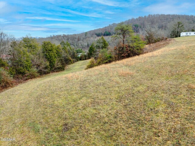 0000 Old Newport Hwy, Sevierville, TN 37876 - photo 9