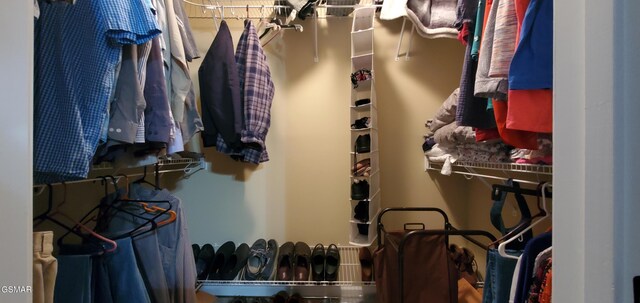 1003 Woullard Way Unit 1, Sevierville, TN 37876 - view of spacious closet