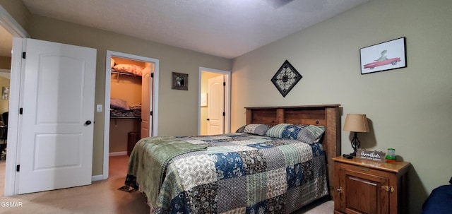 1003 Woullard Way Unit 1, Sevierville, TN 37876 - bedroom with a walk in closet, carpet flooring, and a closet