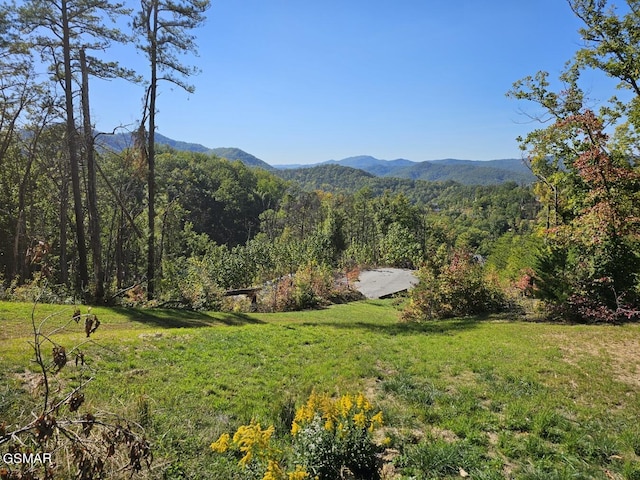 2211 Ridgeland Cir, Sevierville TN, 37862 land for sale