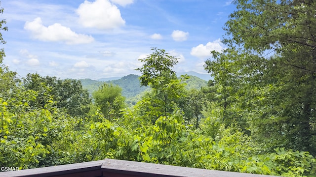 2627 Overholt Trl, Sevierville, TN 37862 - photo 28
