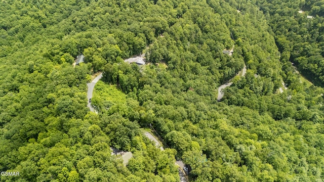 2627 Overholt Trl, Sevierville, TN 37862 - photo 24