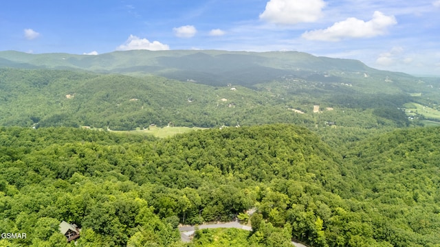 2627 Overholt Trl, Sevierville, TN 37862 - photo 25