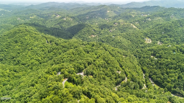 2627 Overholt Trl, Sevierville, TN 37862 - photo 29