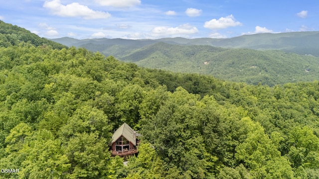 2627 Overholt Trl, Sevierville, TN 37862 - photo 13