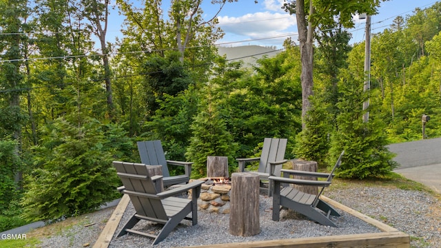 834 Pine Top Ln, Gatlinburg, TN 37738 - photo 58