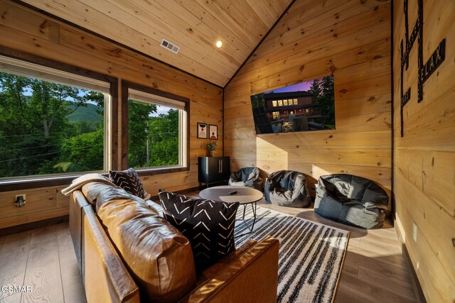 834 Pine Top Ln, Gatlinburg, TN 37738 - photo 29