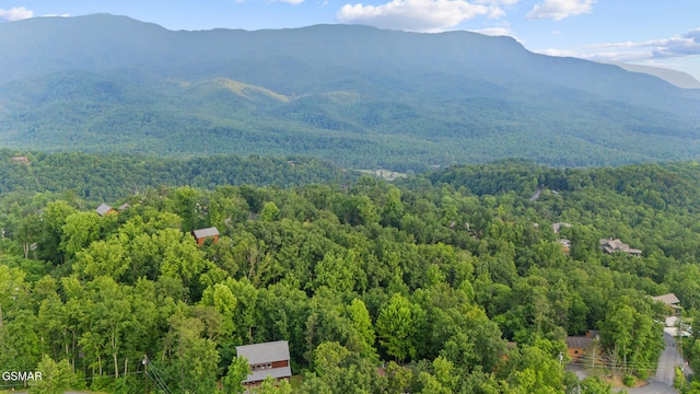 834 Pine Top Ln, Gatlinburg, TN 37738 - photo 65