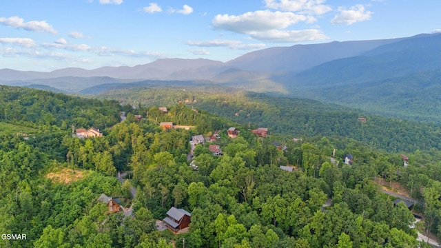 834 Pine Top Ln, Gatlinburg, TN 37738 - photo 67