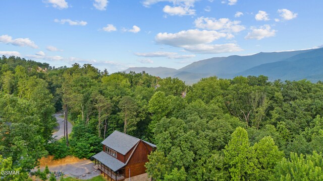 834 Pine Top Ln, Gatlinburg, TN 37738 - photo 66