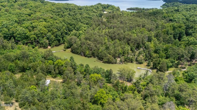 LOT8 Pleasure Rd, Sevierville, TN 37876 - photo 3