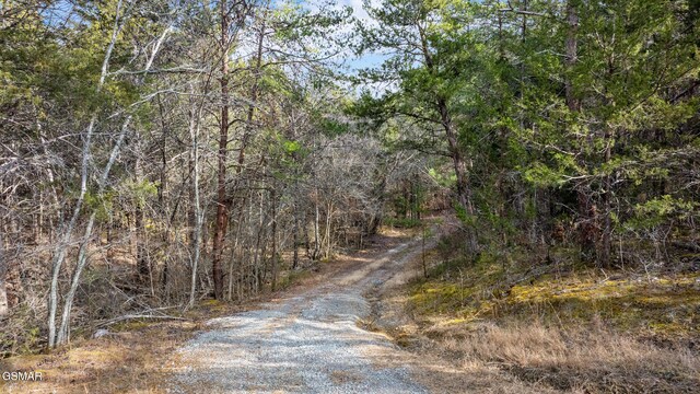 LOT8 Pleasure Rd, Sevierville, TN 37876 - photo 33
