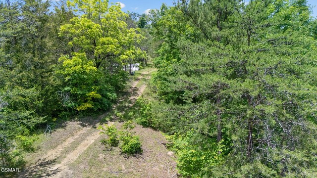 LOT8 Pleasure Rd, Sevierville, TN 37876 - photo 13