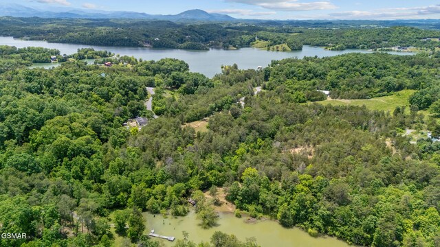 LOT8 Pleasure Rd, Sevierville, TN 37876 - photo 6