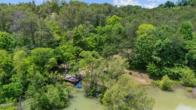 LOT8 Pleasure Rd, Sevierville, TN 37876 - photo 9