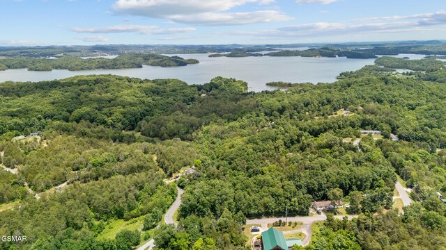 LOT8 Pleasure Rd, Sevierville, TN 37876 - photo 4