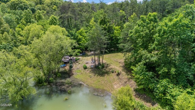 LOT8 Pleasure Rd, Sevierville, TN 37876 - photo 7