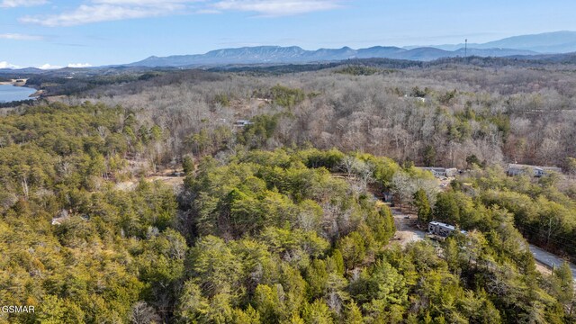 LOT8 Pleasure Rd, Sevierville, TN 37876 - photo 30