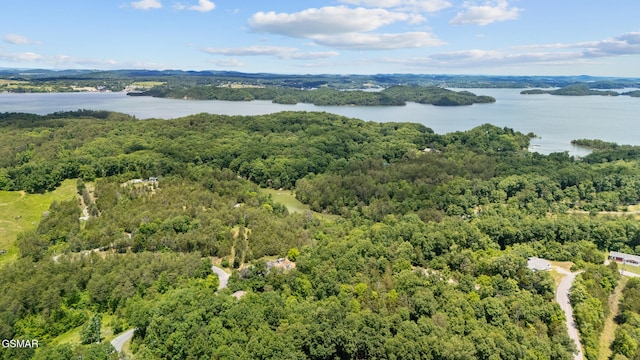 LOT8 Pleasure Rd, Sevierville, TN 37876 - photo 1