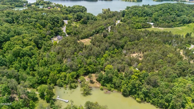LOT8 Pleasure Rd, Sevierville, TN 37876 - photo 5
