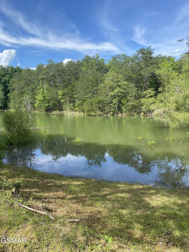 LOT8 Pleasure Rd, Sevierville, TN 37876 - photo 40